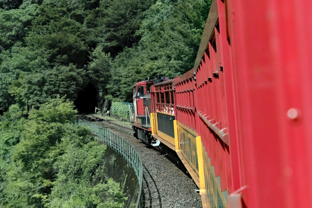 新緑のトンネルを走るトロッコ列車